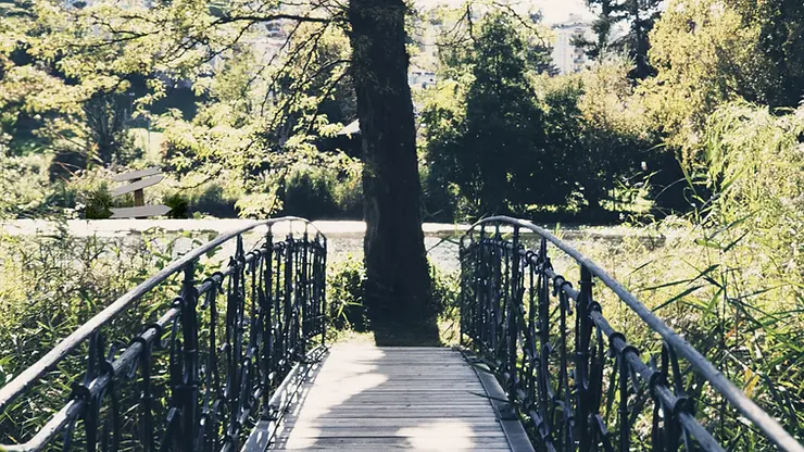 Navigating Singleness and Dating in Today’s Culture