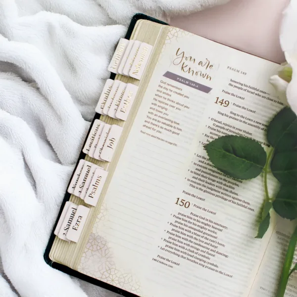 Blush Bible Tabs with Gold Foil Lettering featuring all the books of the Bible Plus other tabs
