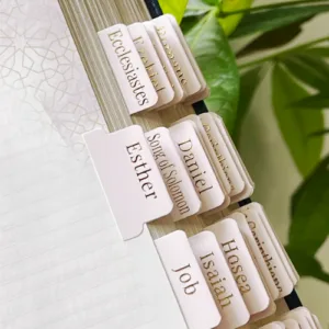 Blush Bible tabs with gold-foil print—organized books of the Bible