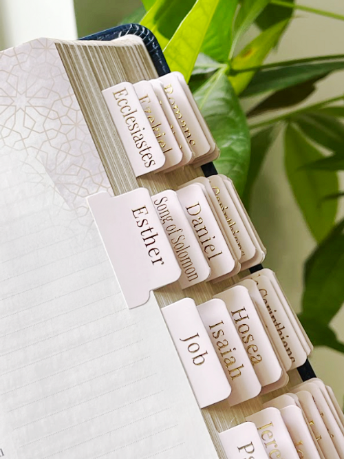 Blush Bible tabs with gold-foil print—organized books of the Bible