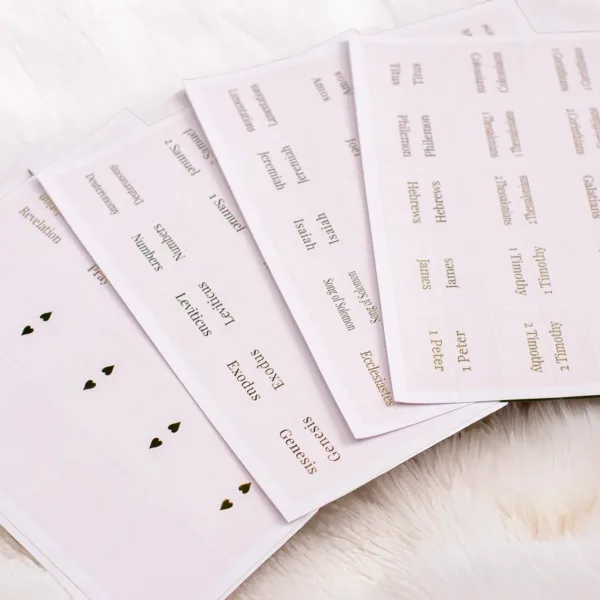 Pink Bible Tabs (Blush) — Beautiful Gold-Foil Print