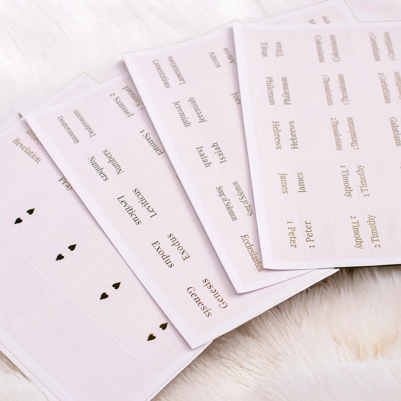 Pink Bible Tabs (Blush) — Beautiful Gold-Foil Print - Image 3