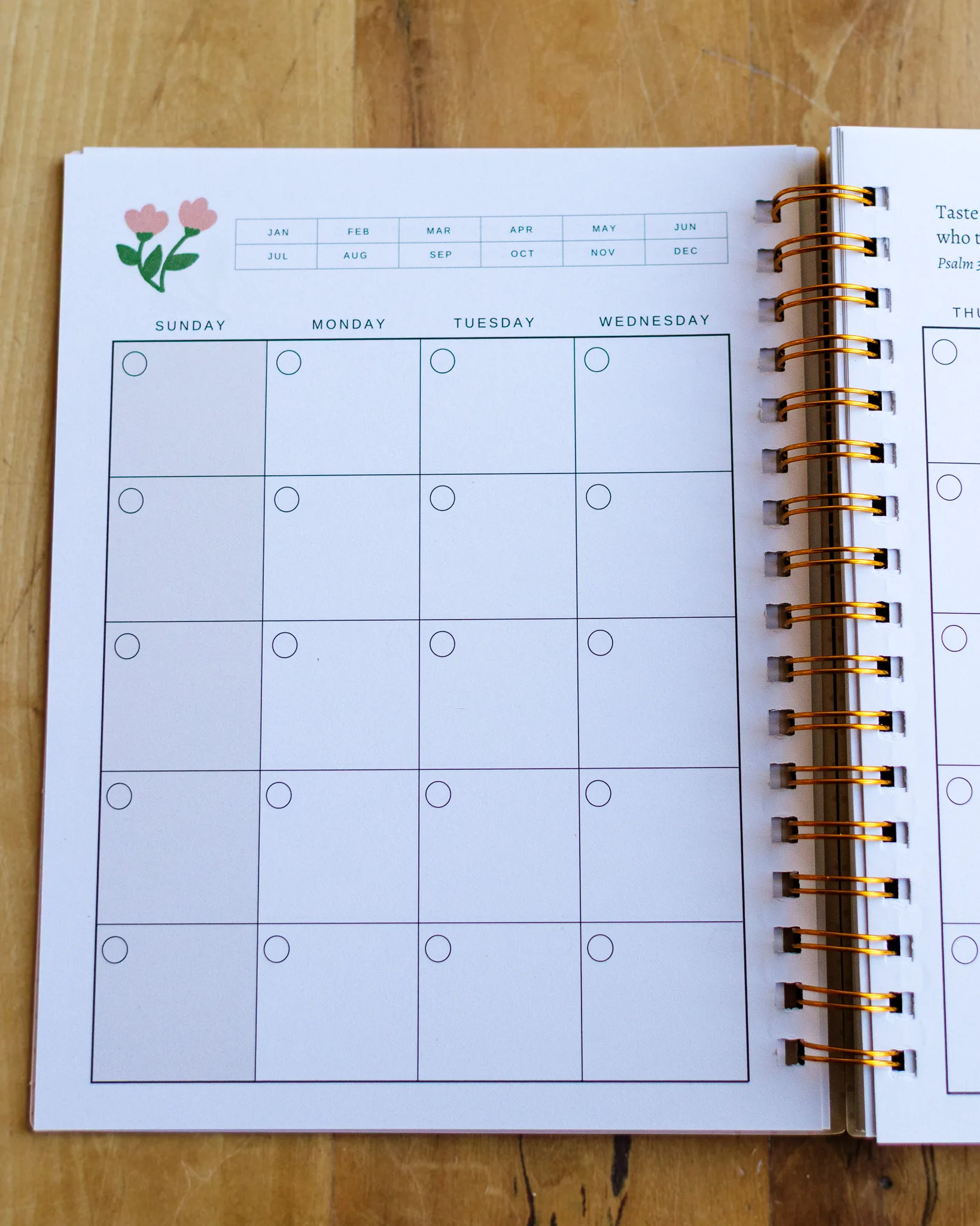 Undated Planner - Image 10