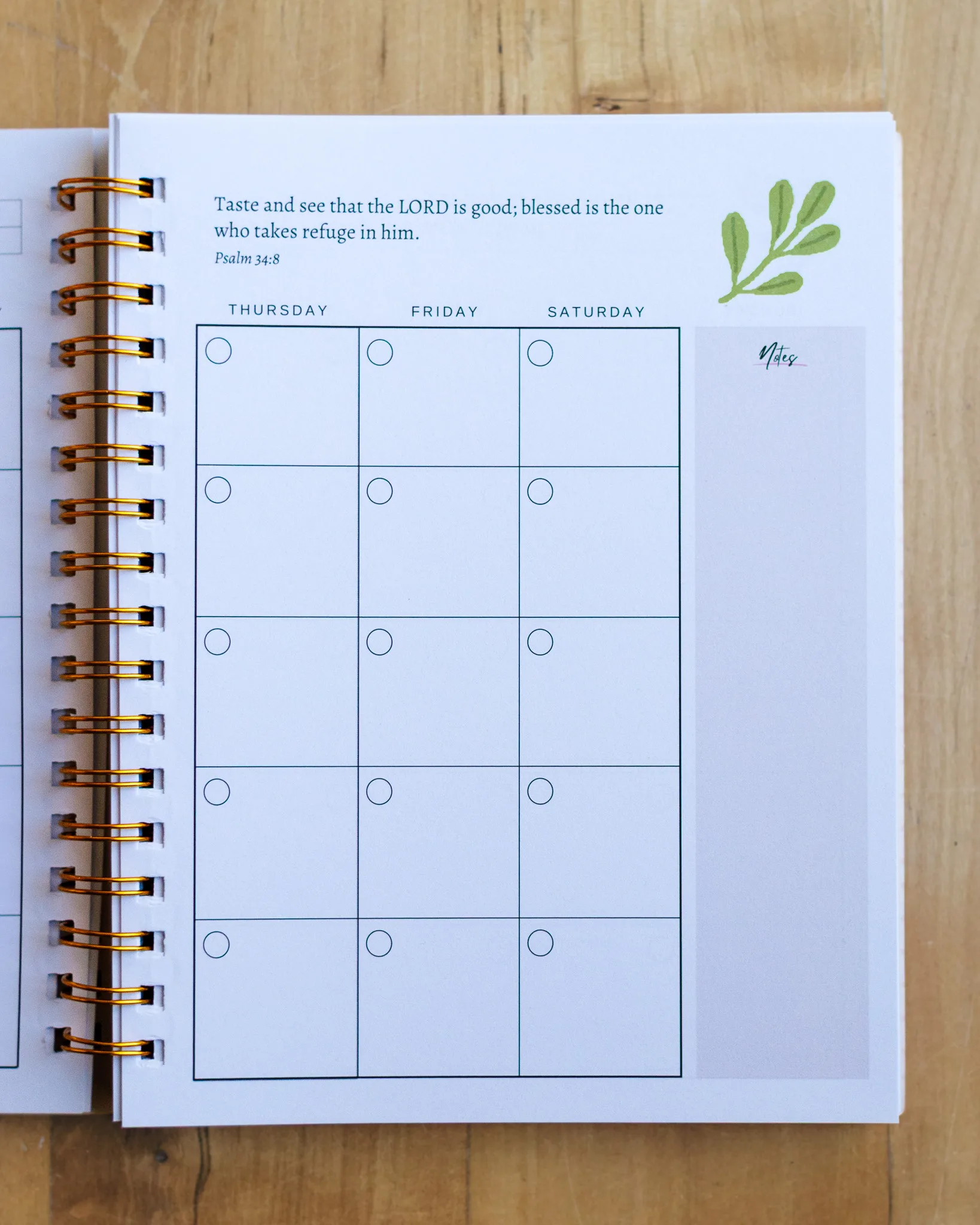 Undated Planner - Image 11