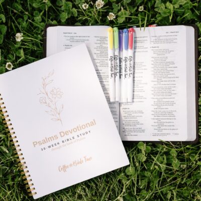 Best Bible Highlighters – Soft Colors, Double-Ended (Set of 5)