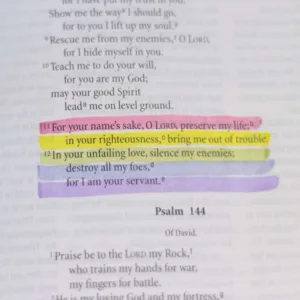 Best Bible Highlighters – Soft Colors, Double-Ended (5) - Image 8