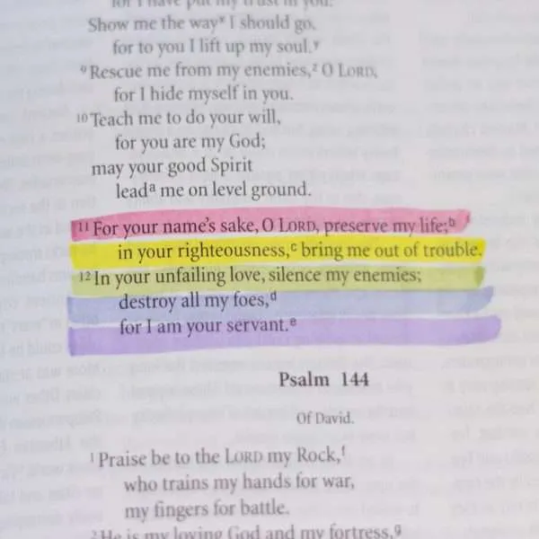 Bible Highlighters - Image 4