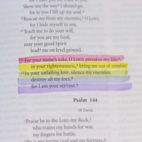Best Bible Highlighters – Soft Colors, Double-Ended (5)