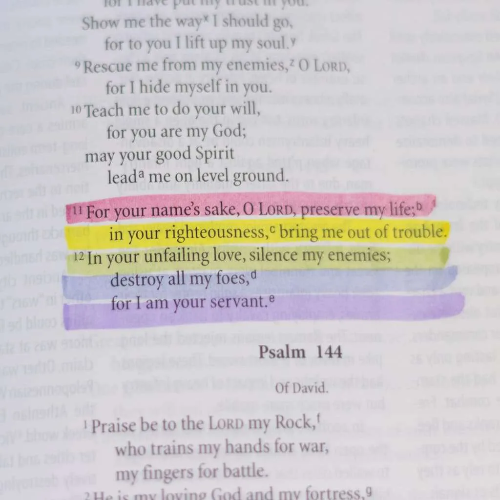 Best Bible Highlighters – Soft Colors, Double-Ended (5) - Image 8