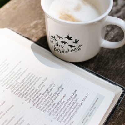 Look at the Birds Coffee Mug