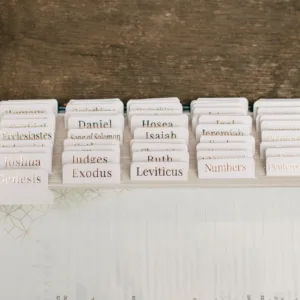 Blush Bible Tabs - Gold Foil print - Image 2