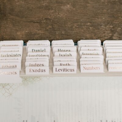 Blush Bible Tabs - Gold Foil print