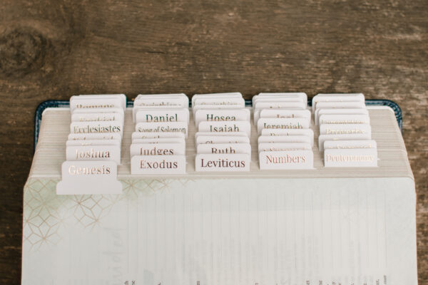 Blush Bible Tabs - Gold Foil print - Image 3