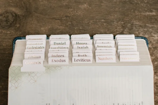 Blush Bible Tabs - Gold Foil print