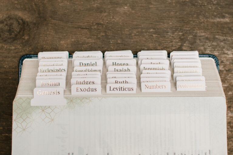 Blush Bible Tabs - Gold Foil print