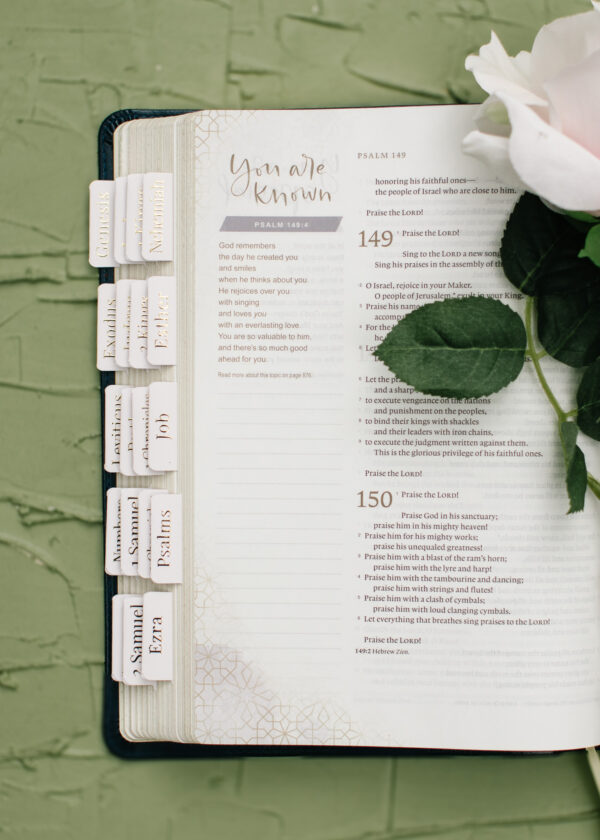 Blush Bible Tabs - Gold Foil print - Image 2
