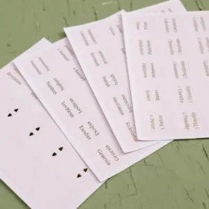 Blush Bible Tabs - Gold Foil print - Image 3