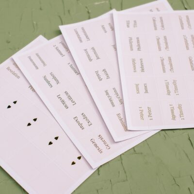 Blush Bible Tabs - Gold Foil print