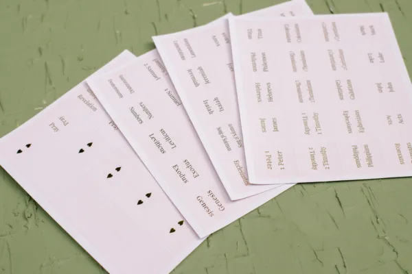 Blush Bible Tabs - Gold Foil print