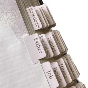 Blush Bible Tabs - Gold Foil print