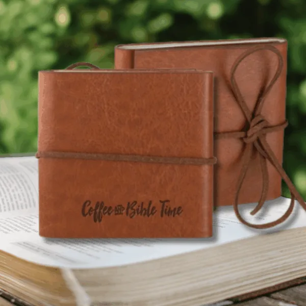 Mini Leather Notebooks - set of two