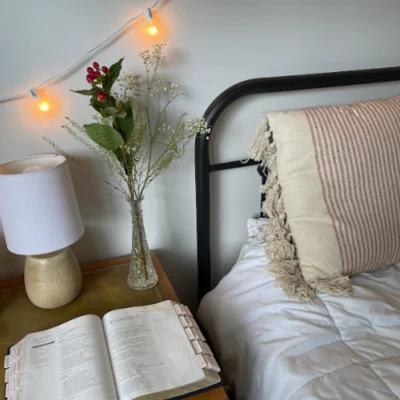 Blush Bible Tabs - Gold Foil print