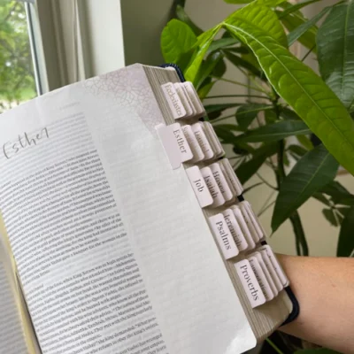 Blush Bible Tabs - Gold Foil print