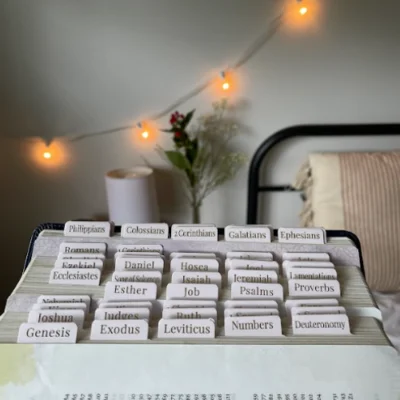Blush Bible Tabs - Gold Foil print