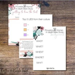Proverbs 31 Woman - Study Guide - Image 3
