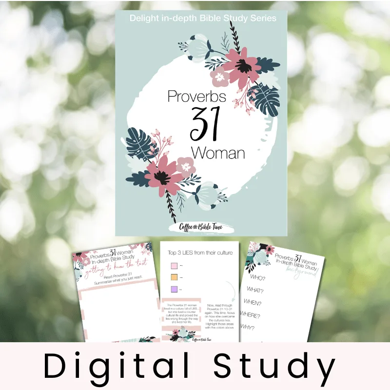 Proverbs 31 Woman - Study Guide - Image 1