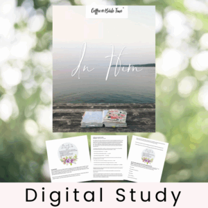 In Him - Bible Study + Commentary