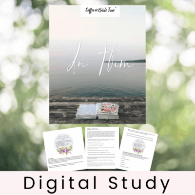 In Him - Bible Study + Commentary
