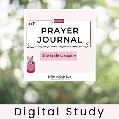 SPANISH- PDF Prayer Journal