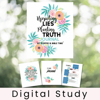 Uprooting Lies Planting Truth