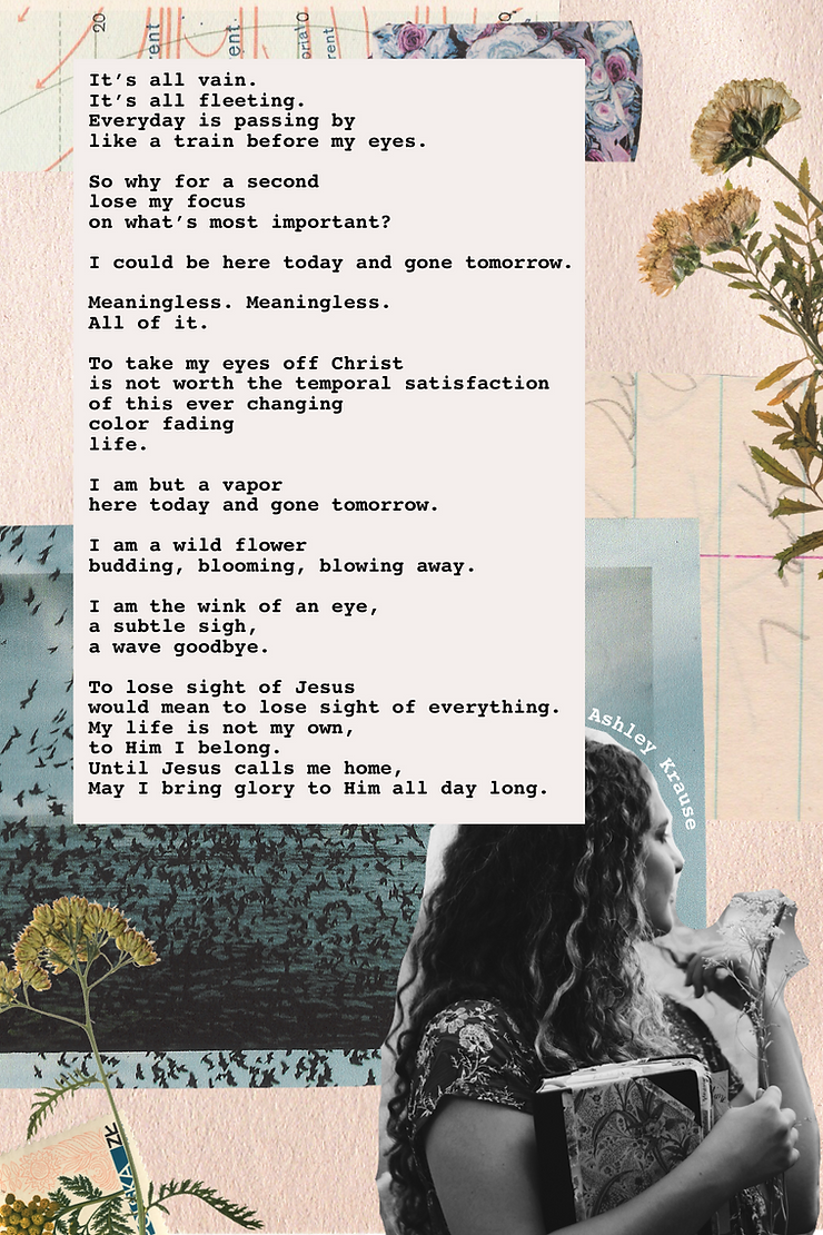 Ashleys Journal. Entry #1