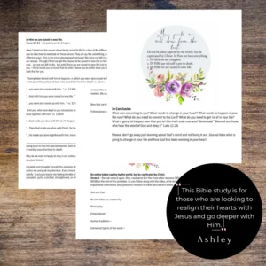 In Him - Bible Study + Commentary - Image 3
