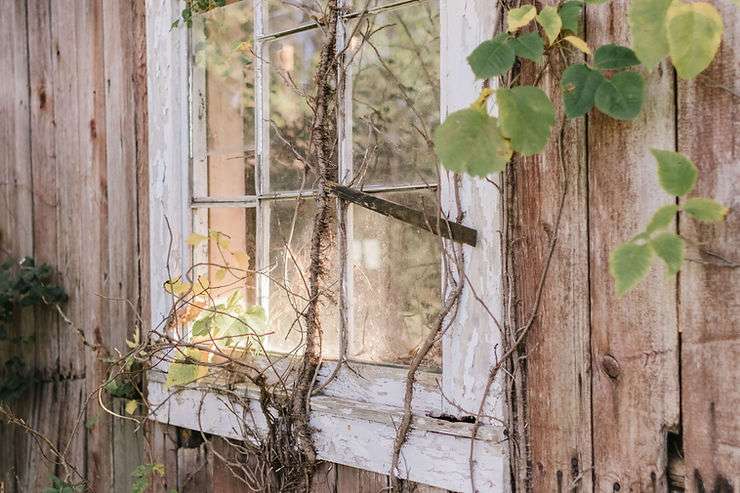 Executive Turned Missionary: Finding Your Passion and Purpose