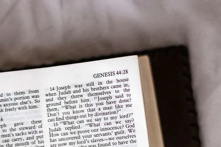 A Deeper Look Into Genesis from a Scholarly Point of View