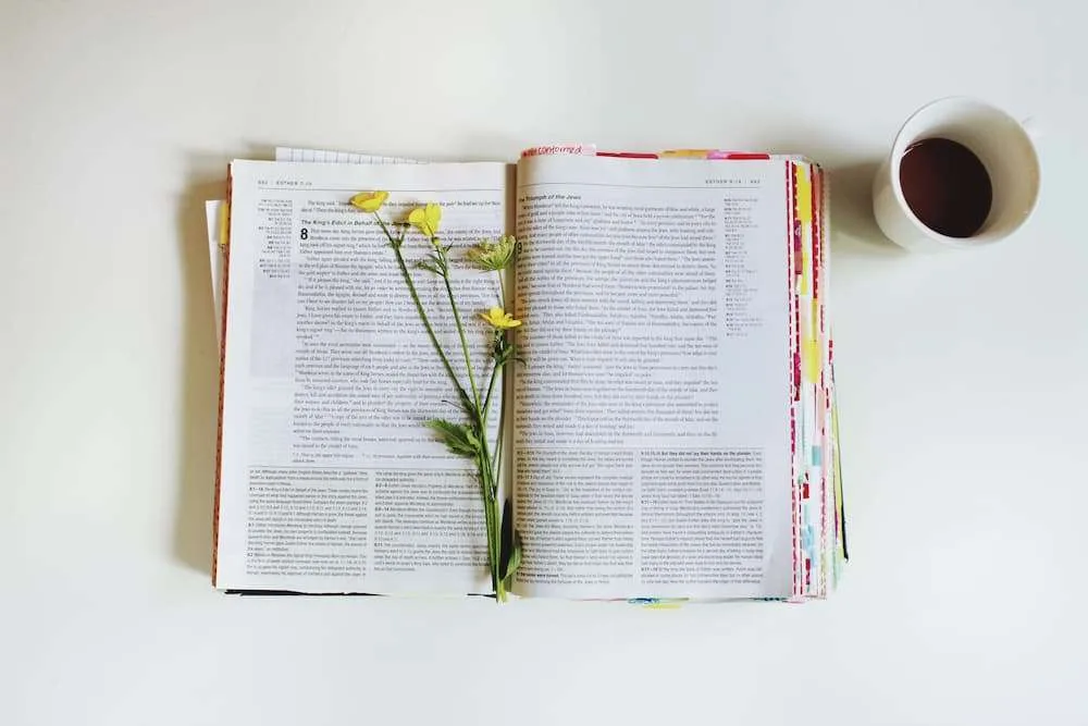 John 5 & 9 Bible Study: FREE Printable