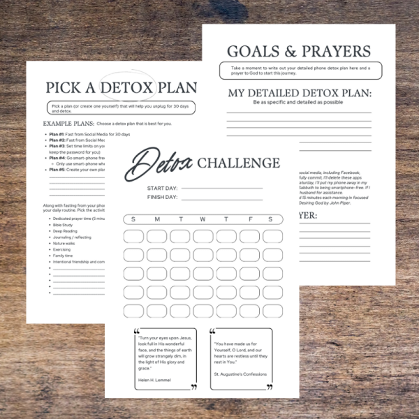30-Day Social Media Detox: Journal and Workbook - Image 3