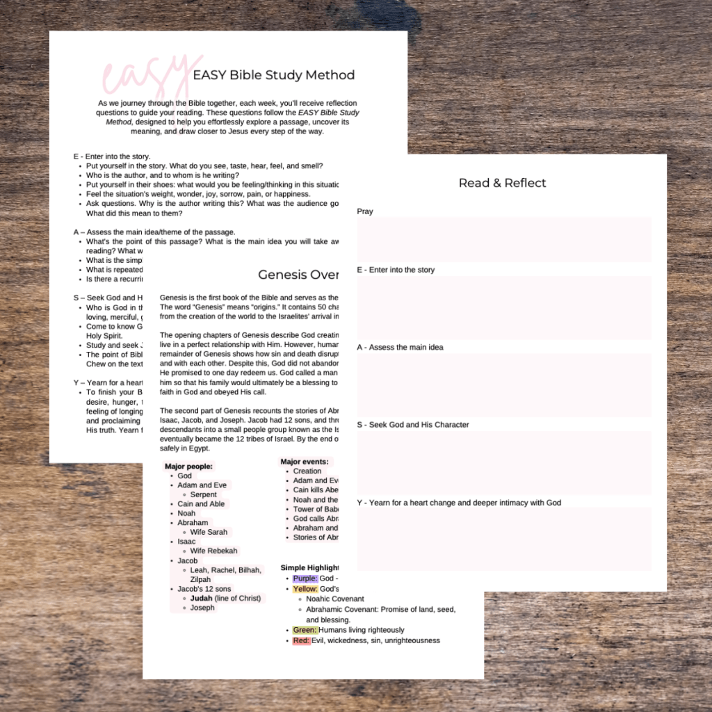 Genesis Bible Study Workbook PDF : Verse by Verse Guide