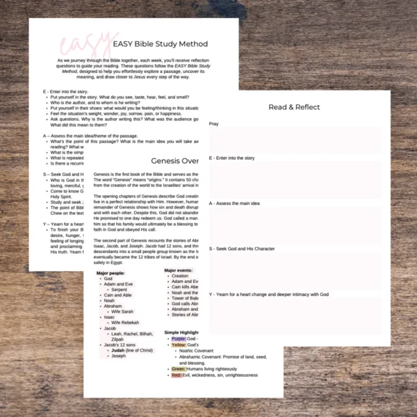 Genesis Bible Workbook