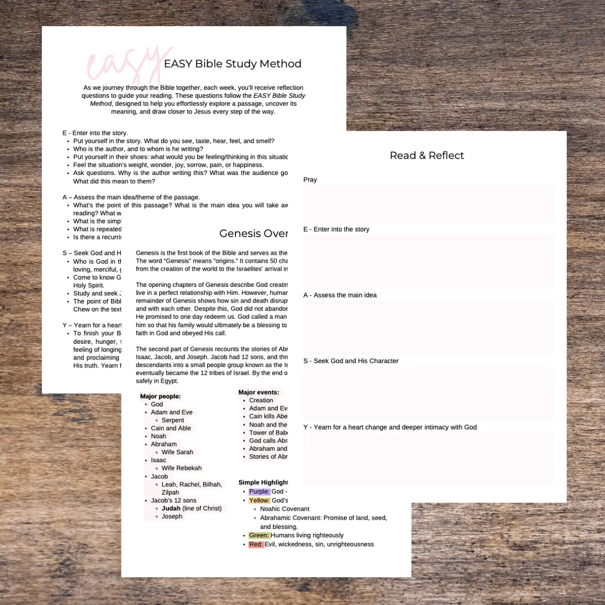 Genesis Bible Workbook - Image 2