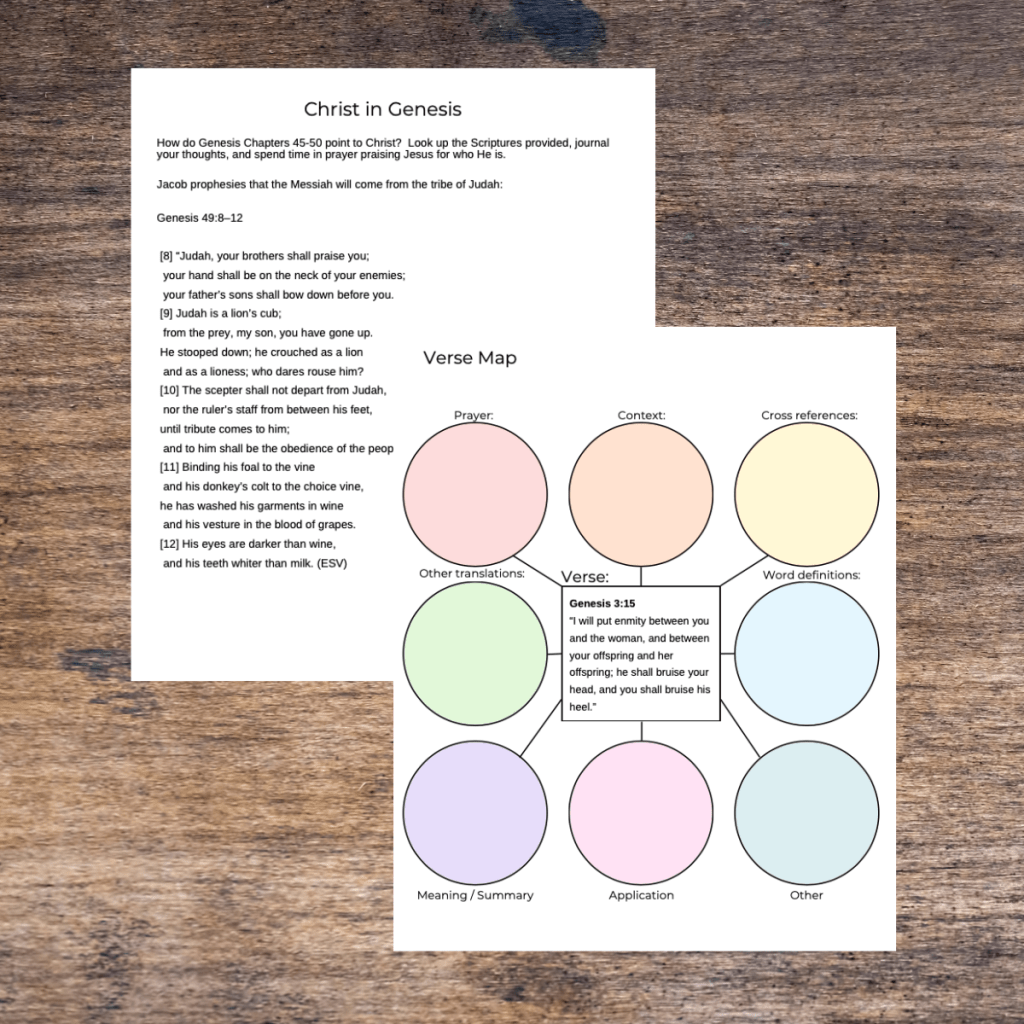 Genesis Bible Study Workbook PDF : Verse by Verse Guide