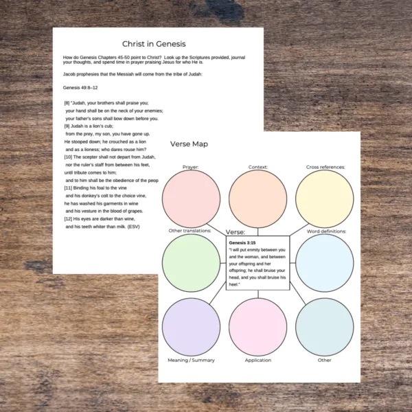 Genesis Bible Workbook