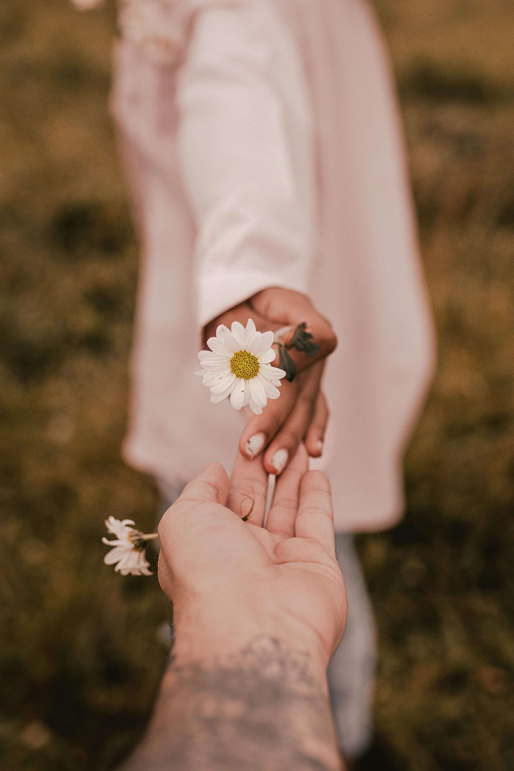 Navigating Love & Longing
