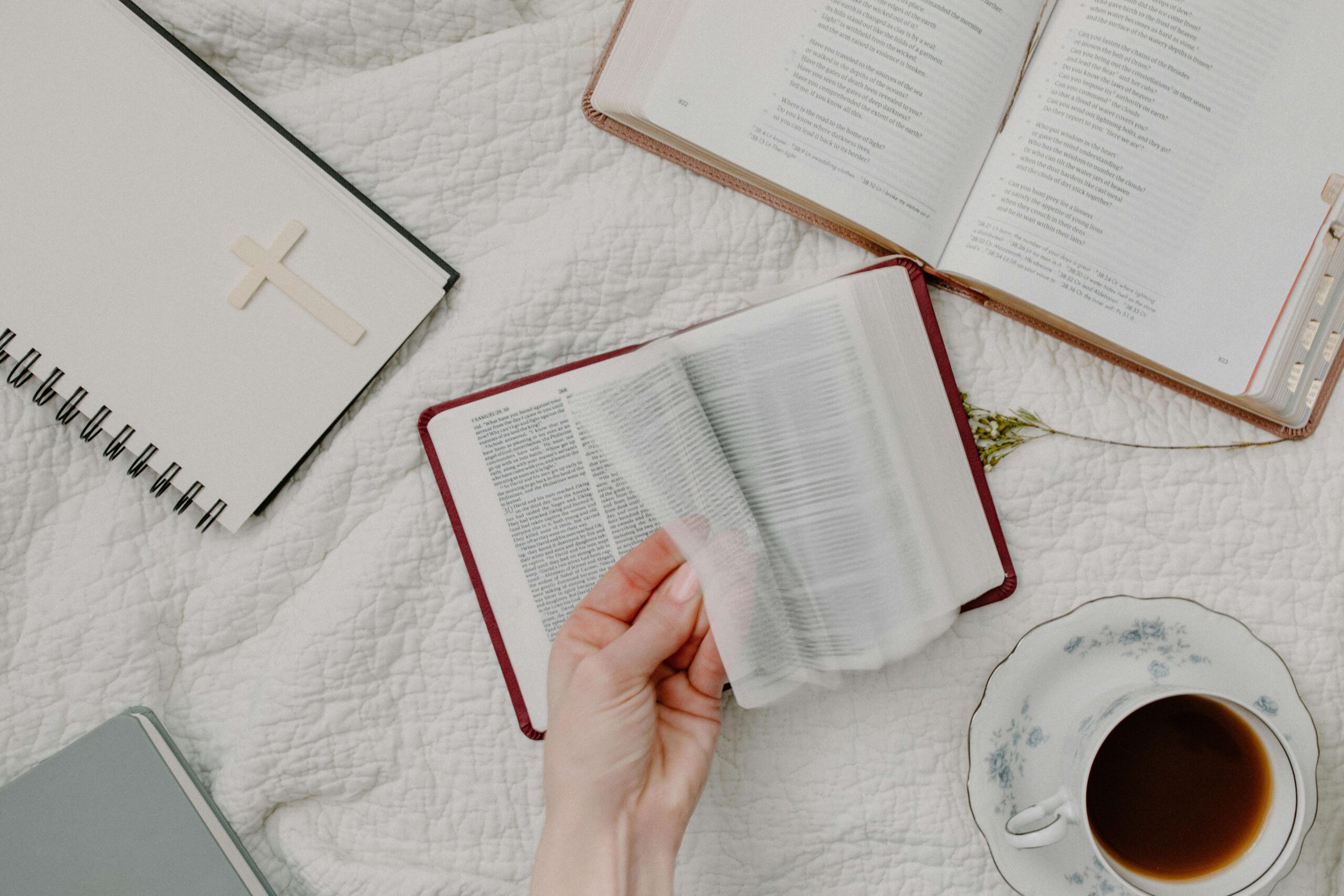 How a Top Bible Publisher Studies Scripture