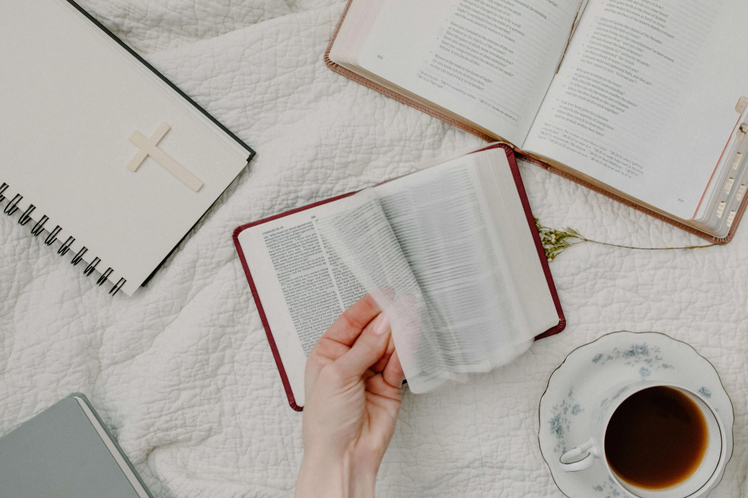 How a Top Bible Publisher Studies Scripture