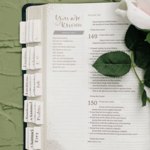 Blush Bible Tabs - Gold Foil print