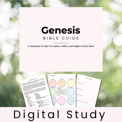 Genesis Bible Workbook